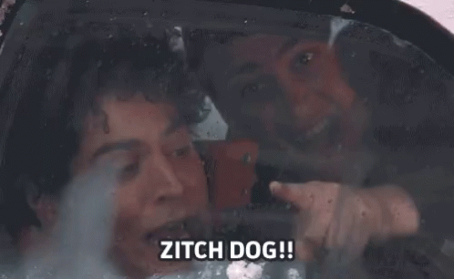 zitch-dog zitch-dog